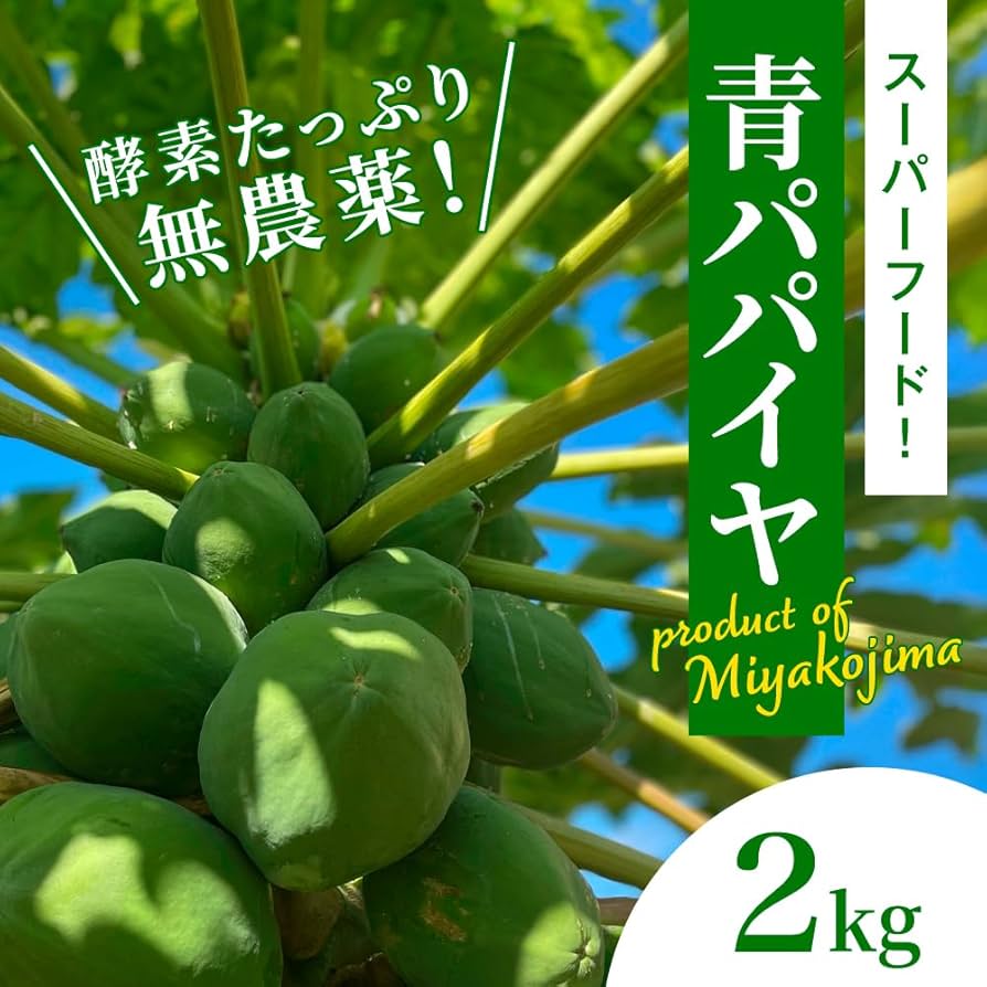 Vietnam Foods  パパイヤ 沖縄県 宮古島産 Vietnam Foods パパイヤ 沖縄県 宮古島産 宮古島産パパイヤ